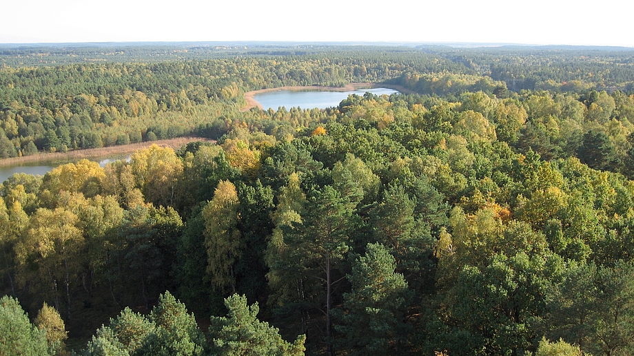 Müritz