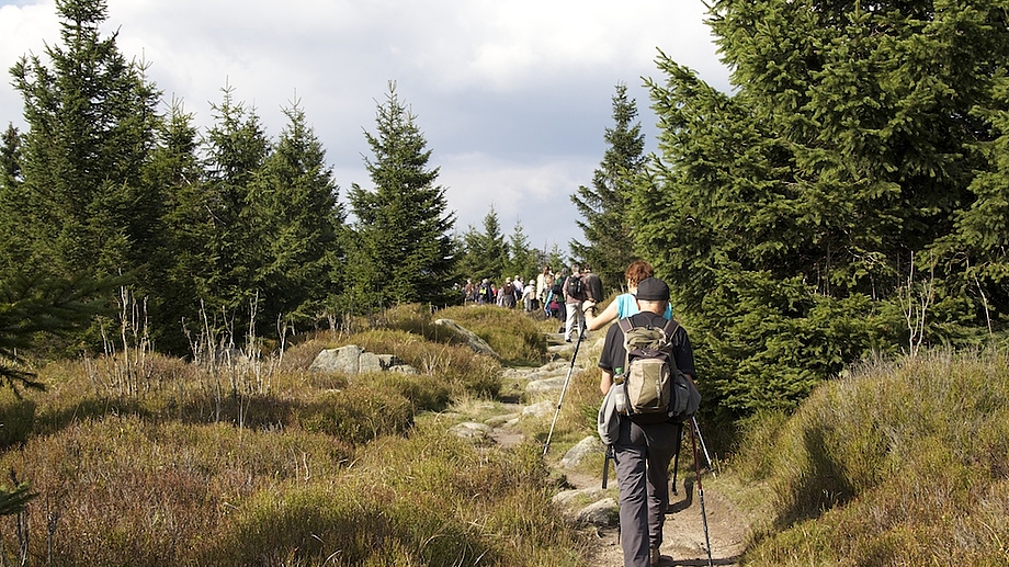 Harz