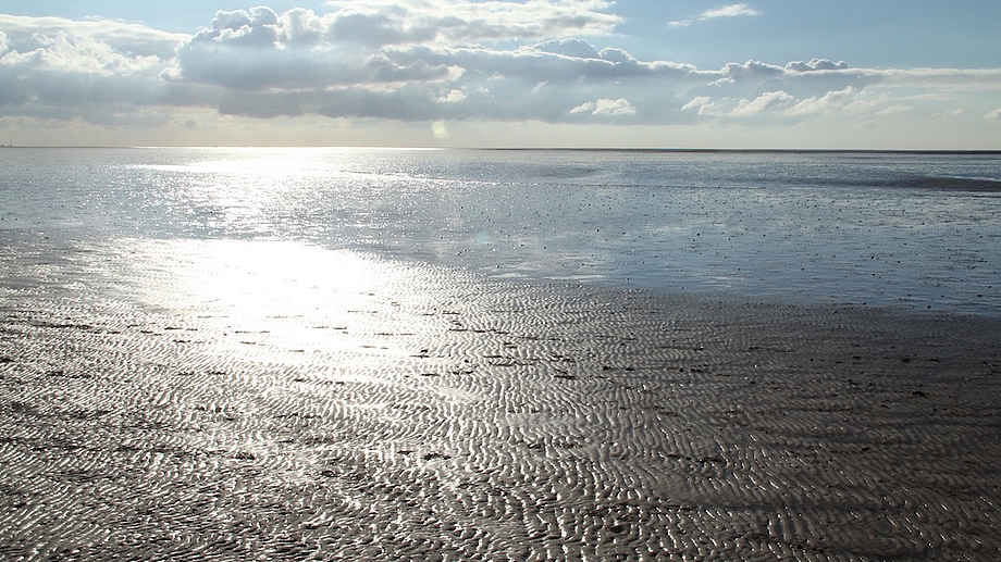 Wattenmeer