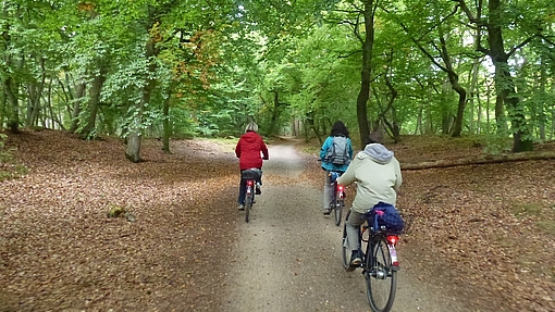 Fahrrad, Kutsche, Darßbahn