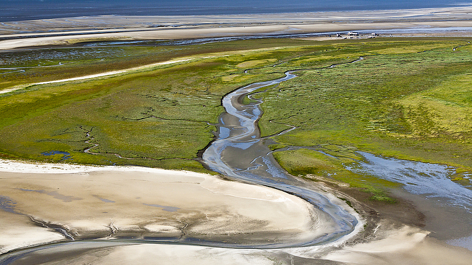 Wattenmeer