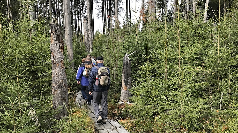 Bayerischer Wald